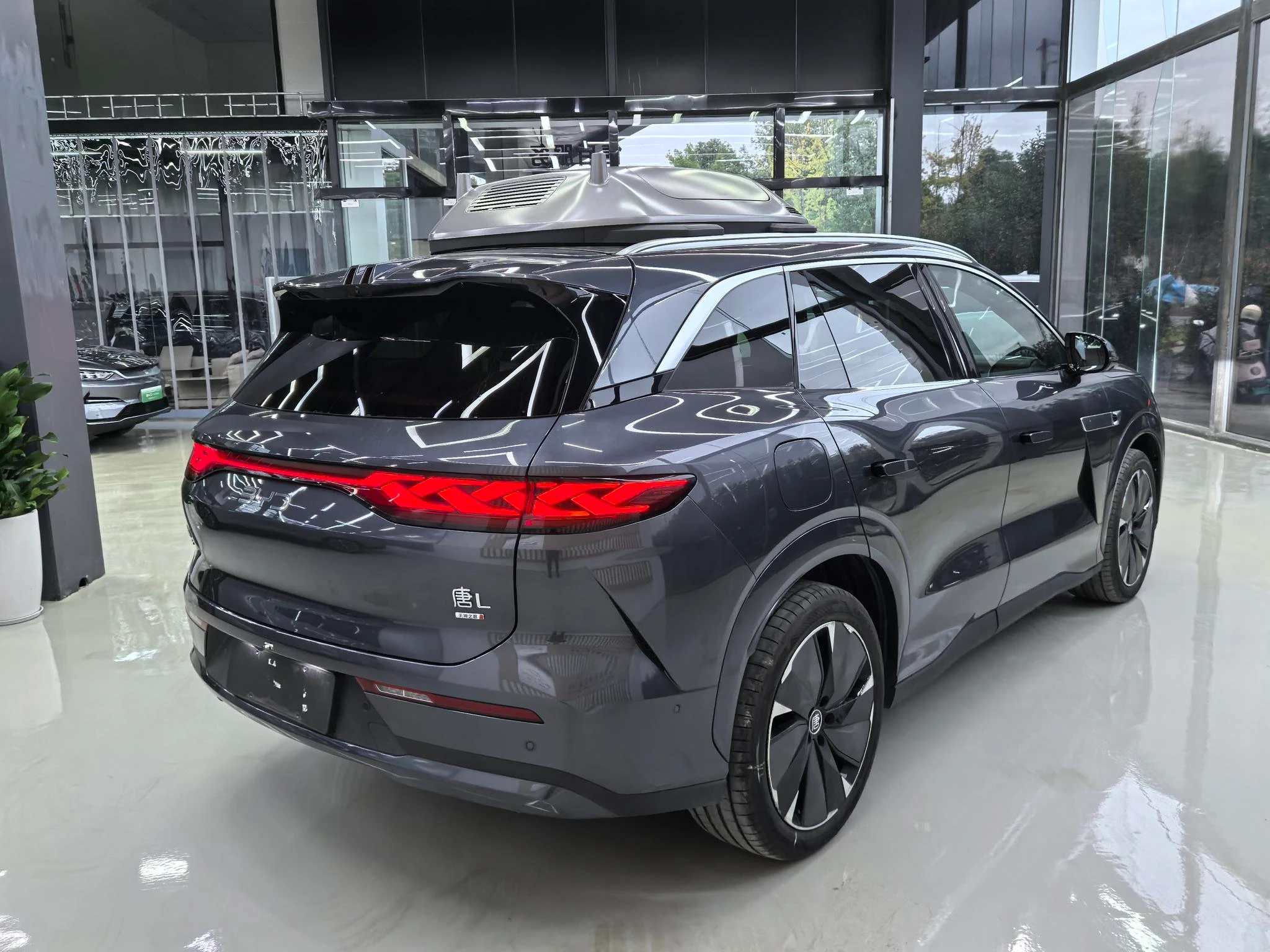 BYD Tang L DM, 2025 — фото 15