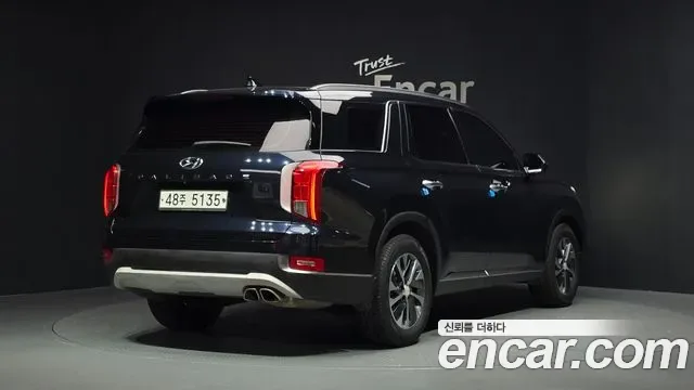Hyundai Palisade, 2019 — фото 2