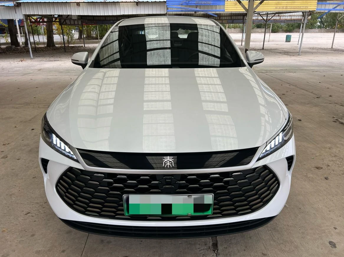 BYD Qin PLUS DM, 2026 — фото 2