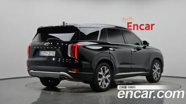 Hyundai Palisade, 2019 — фото 2
