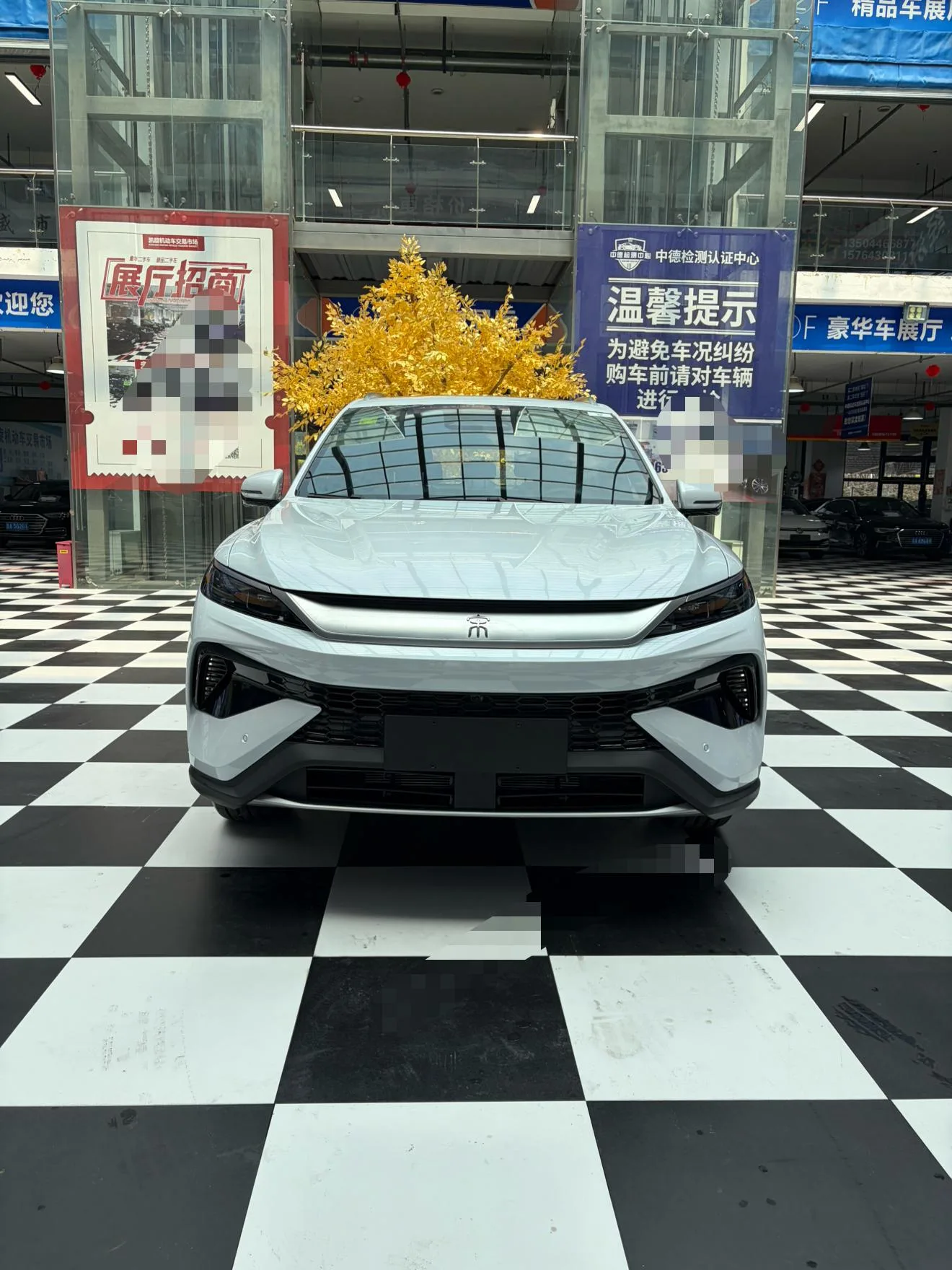 BYD Song Pro DM, 2026 — фото 2