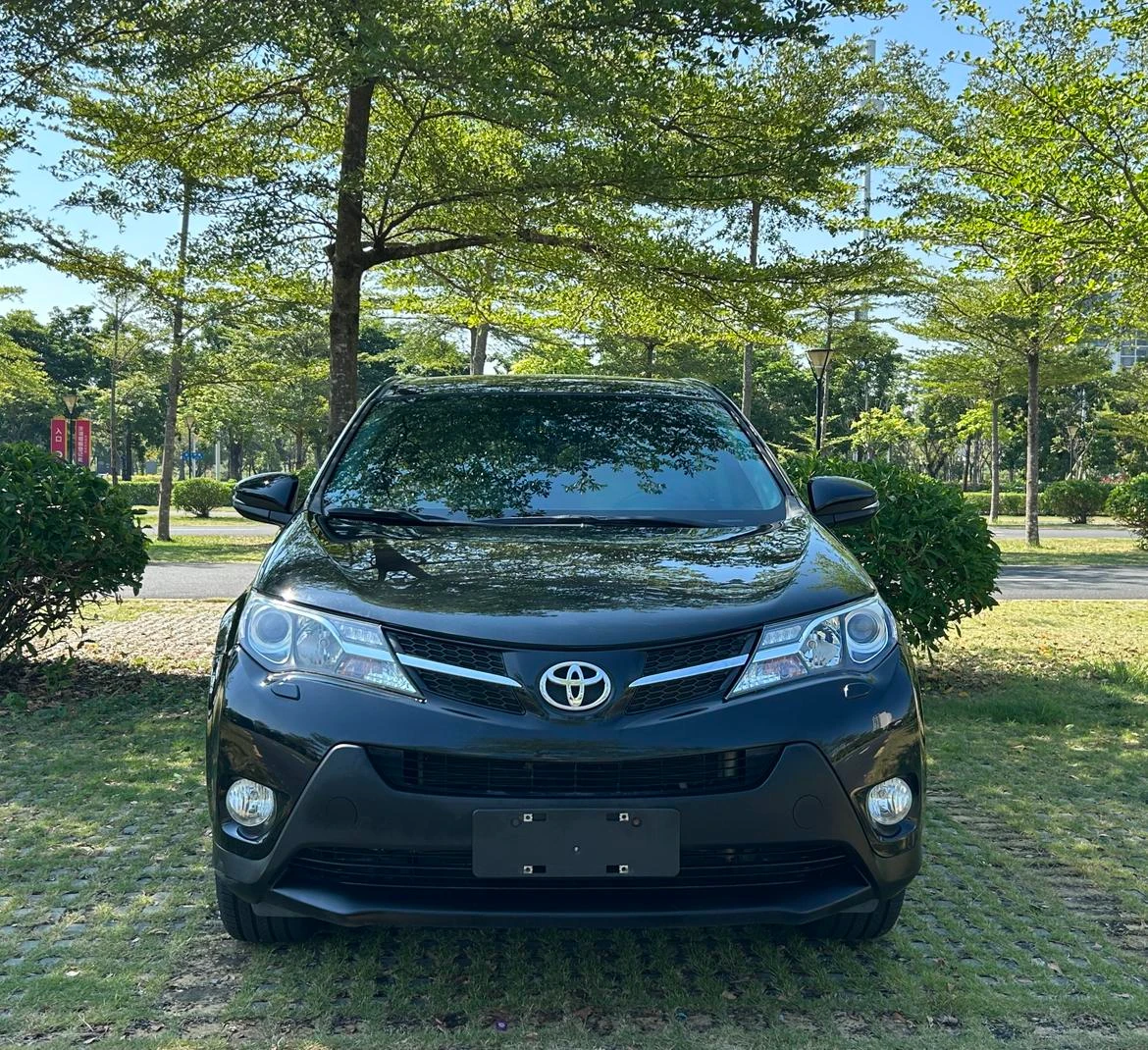 Toyota RAV4 Rongfang, 2015 — фото 2