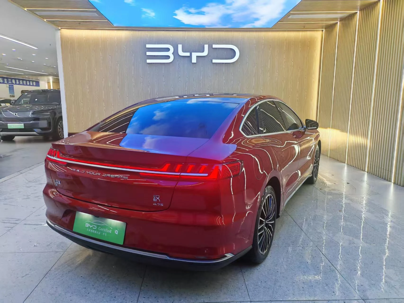 BYD Chinese DM, 2020 — фото 5