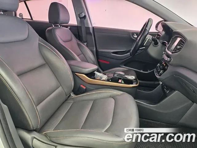 Hyundai Ioniq Ionic Electric, 2016 — фото 12
