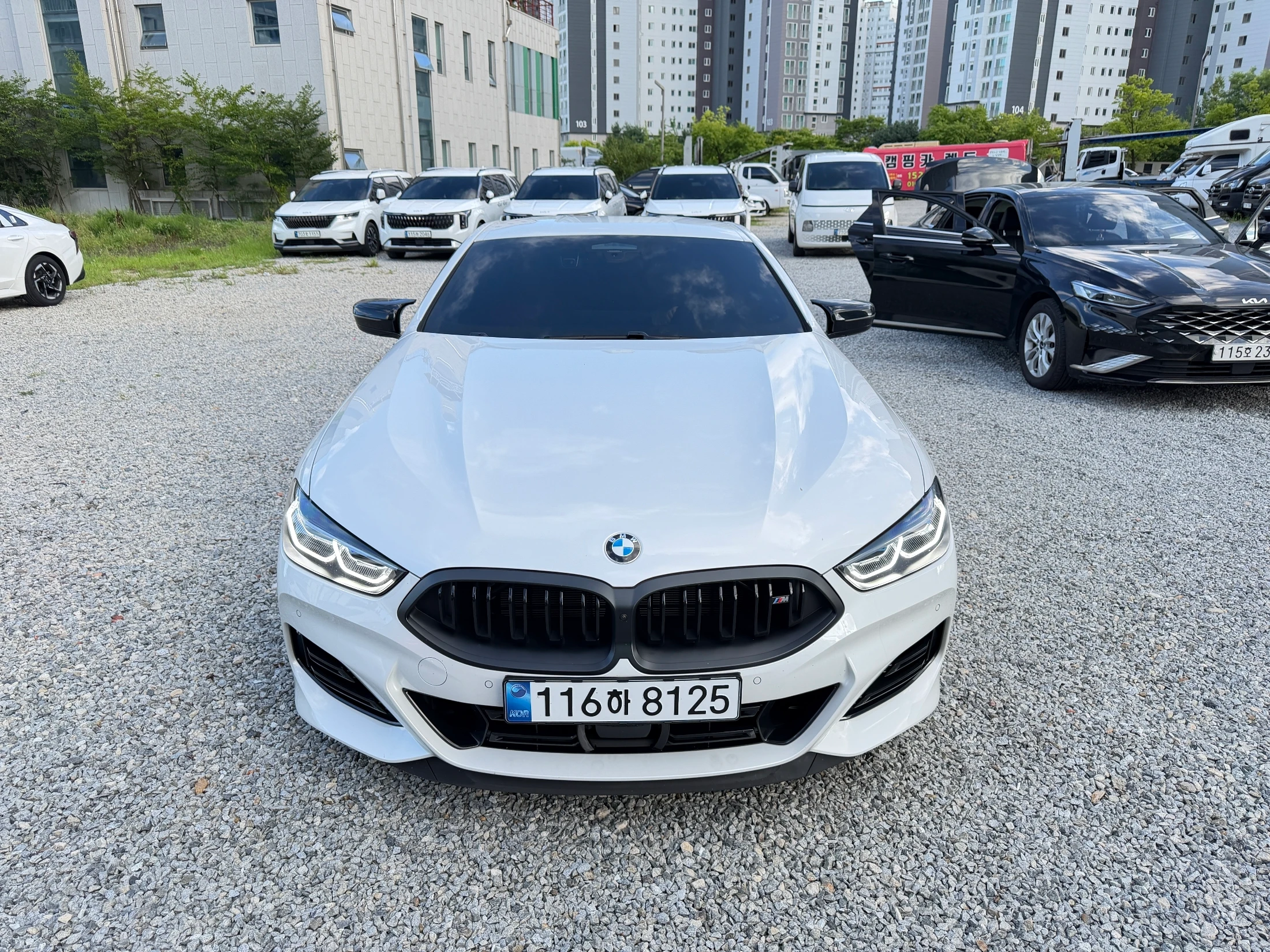 BMW 8-Series G15