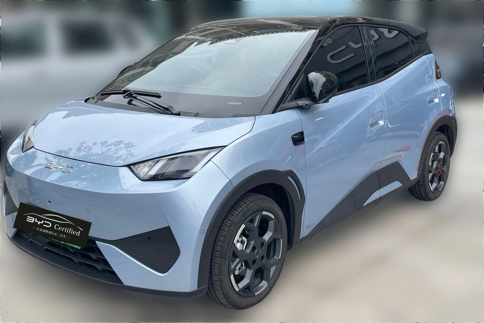 BYD seagull