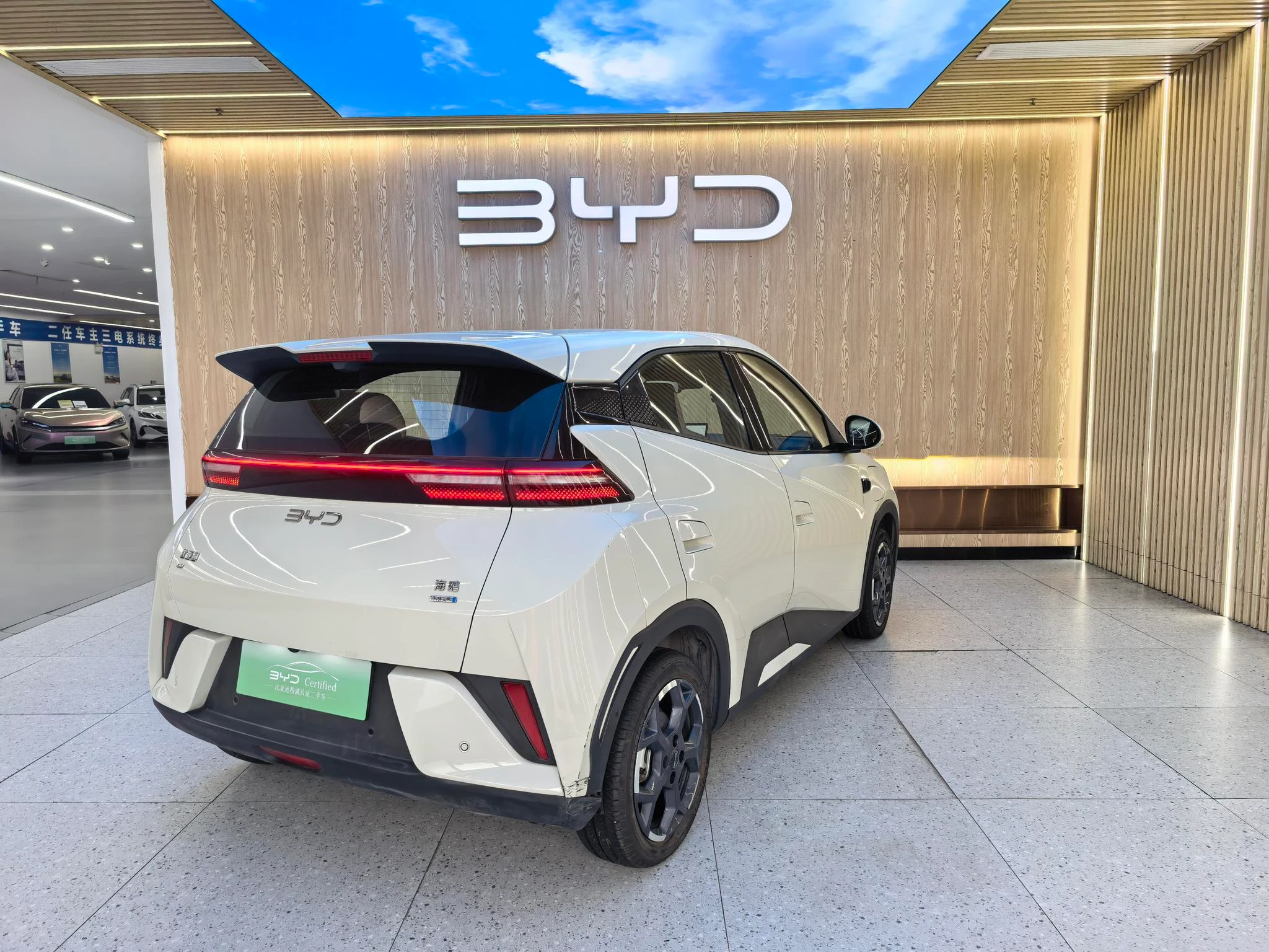 BYD seagull, 2025 — фото 4