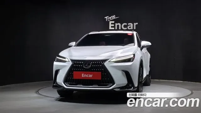 Lexus Nx NX350H, 2026 — фото 3