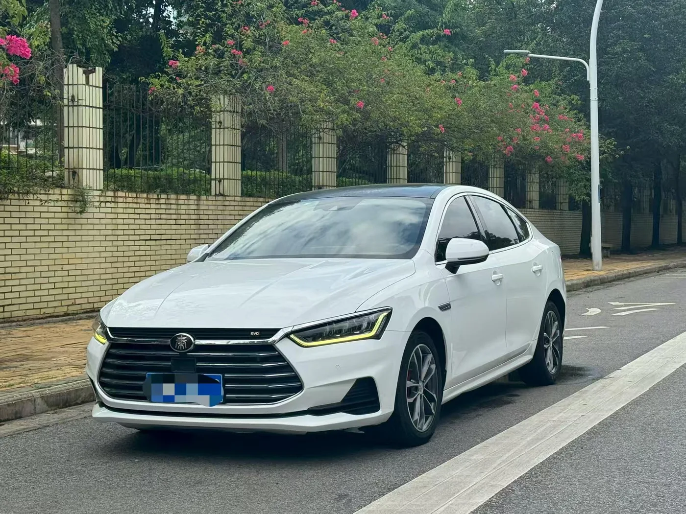 BYD Qin Pro