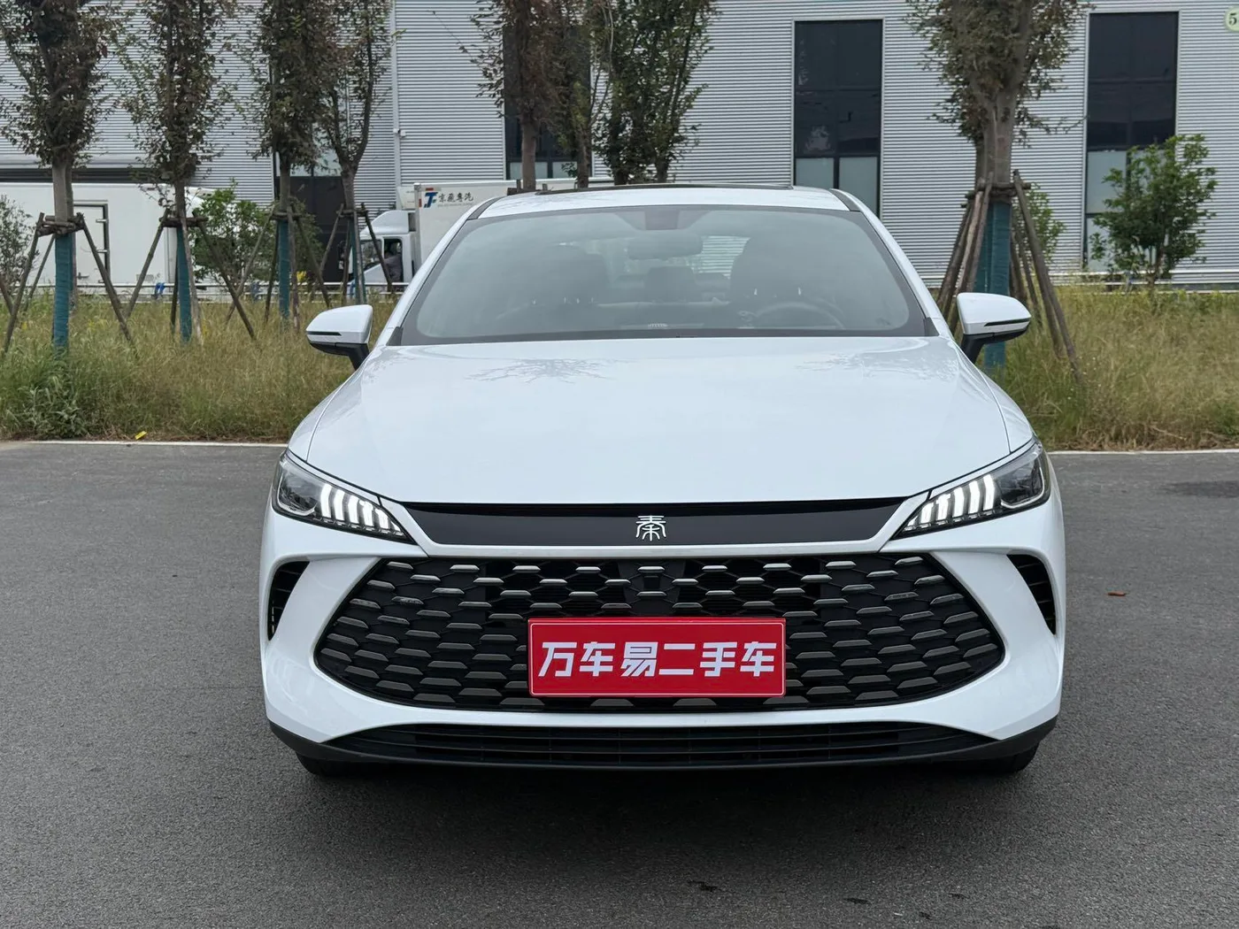 BYD Qin PLUS DM, 2026 — фото 2