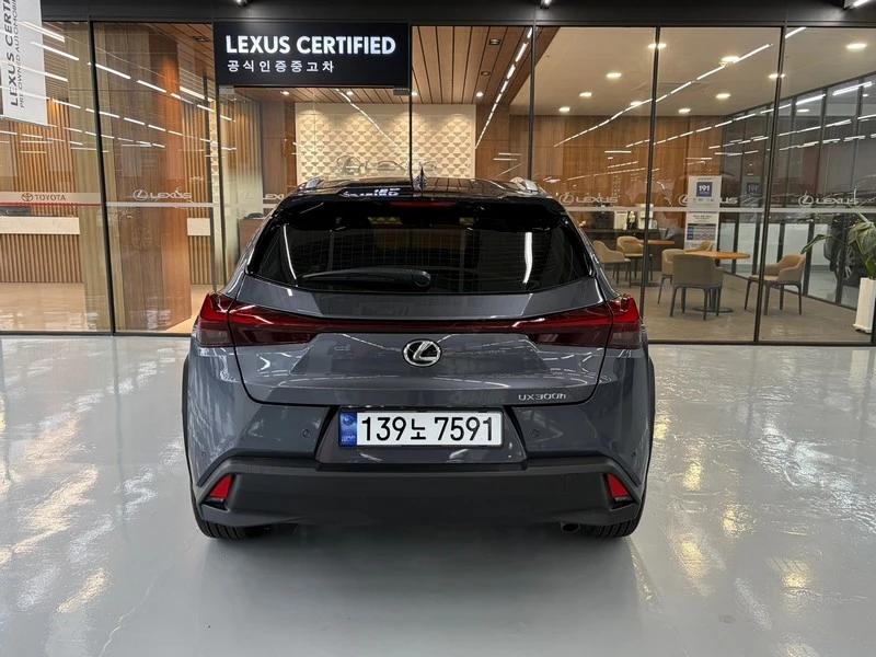 Lexus Ux UX300h, 2026 — фото 4