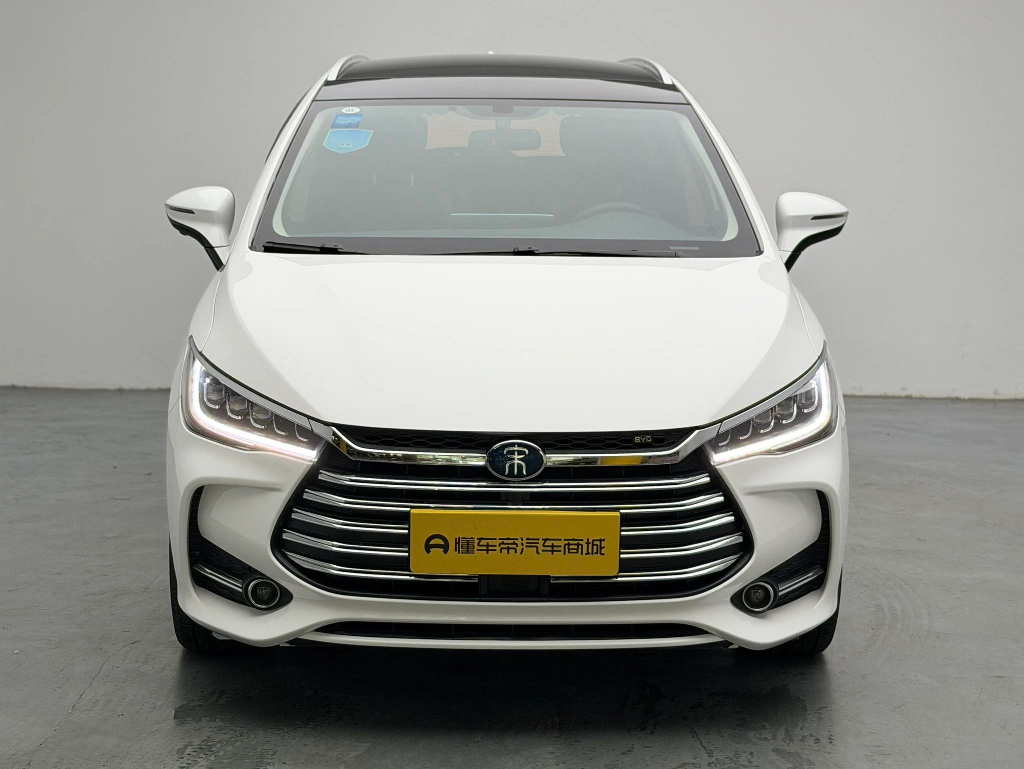 BYD SongMAX DM, 2019 — фото 2