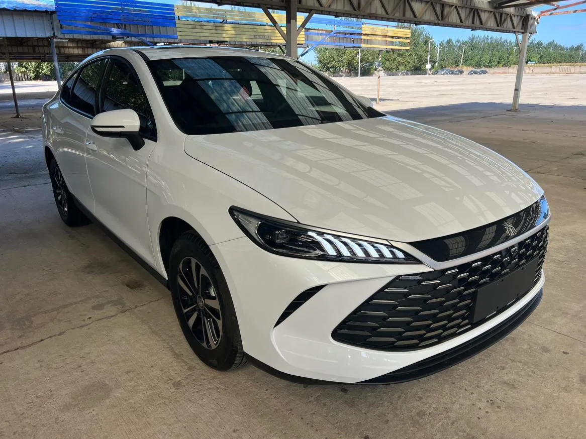 BYD Qin PLUS DM, 2026 — фото 3