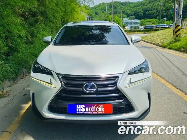 Lexus Nx NX300h, 2016 — фото 2