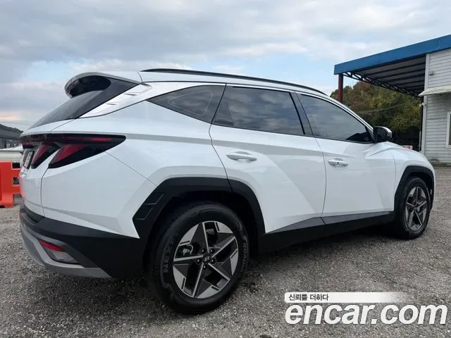 Hyundai Tucson NX4, 2024 — фото 2