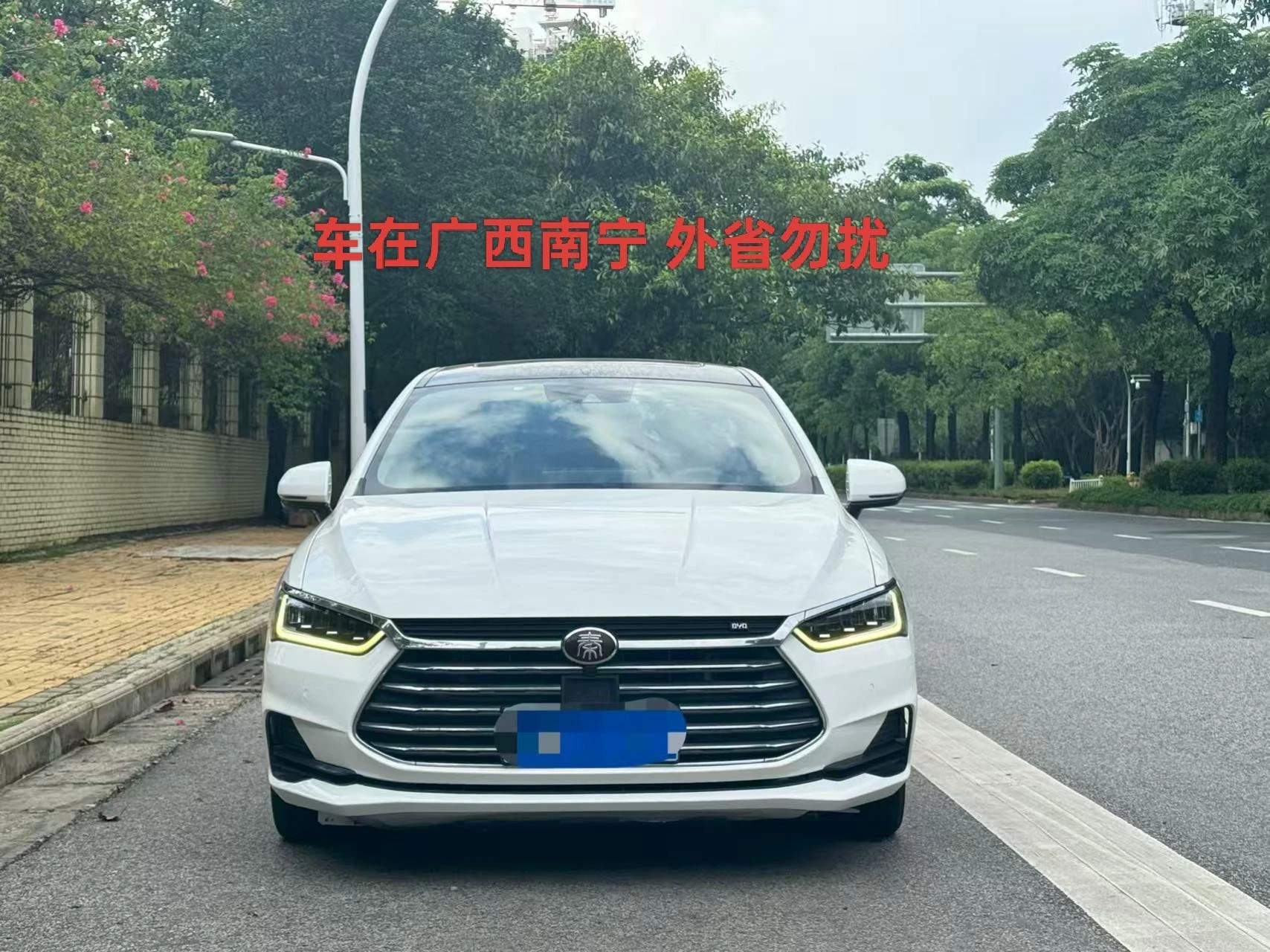 BYD Qin Pro, 2019 — фото 2