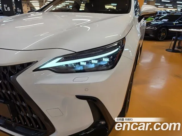 Lexus Nx NX350H, 2026 — фото 17