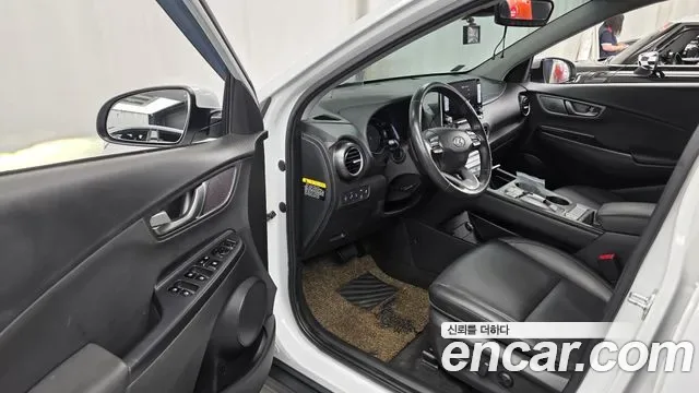 Hyundai Kona Electric, 2018 — фото 10