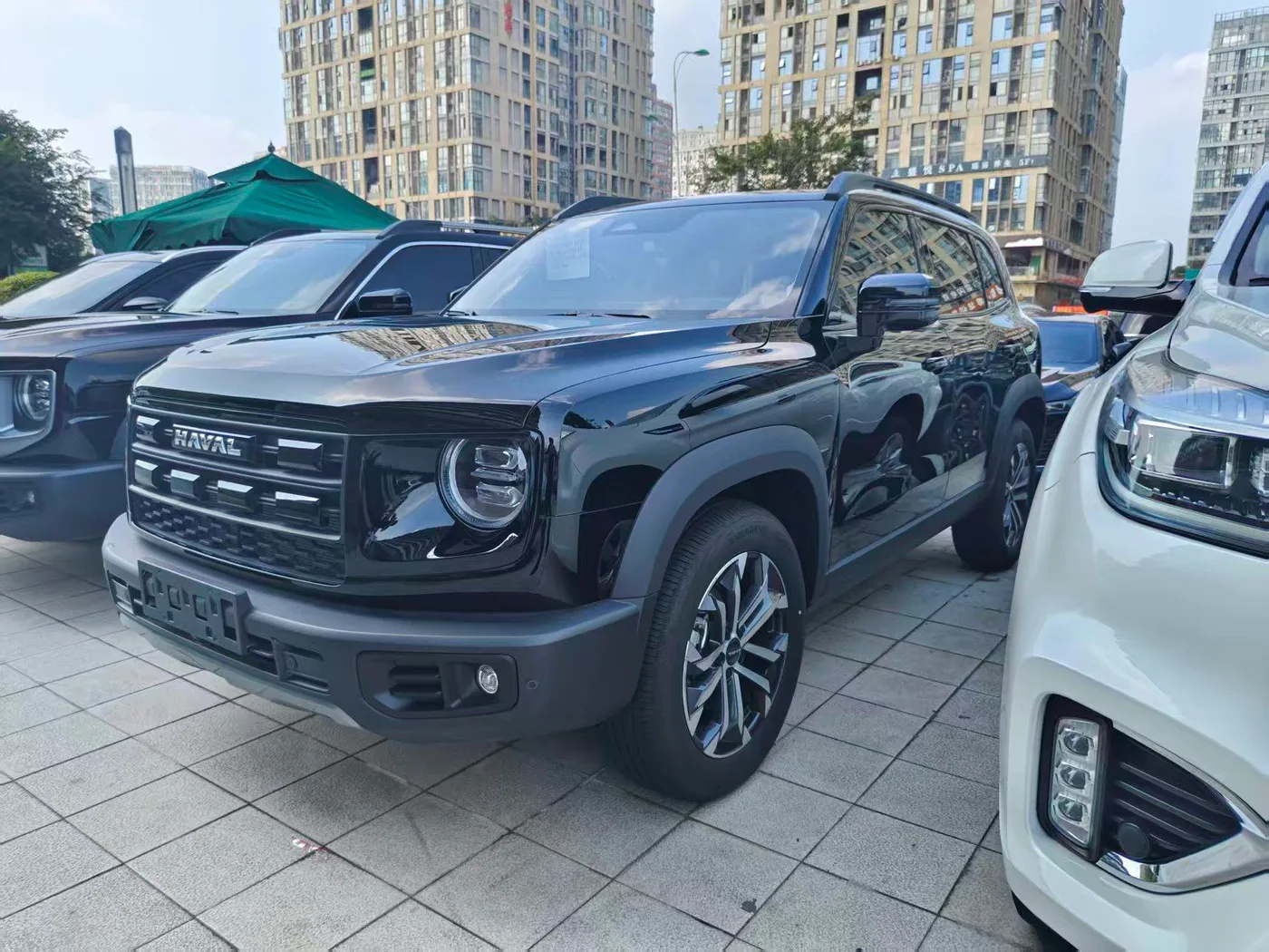Haval Great Wall Dog