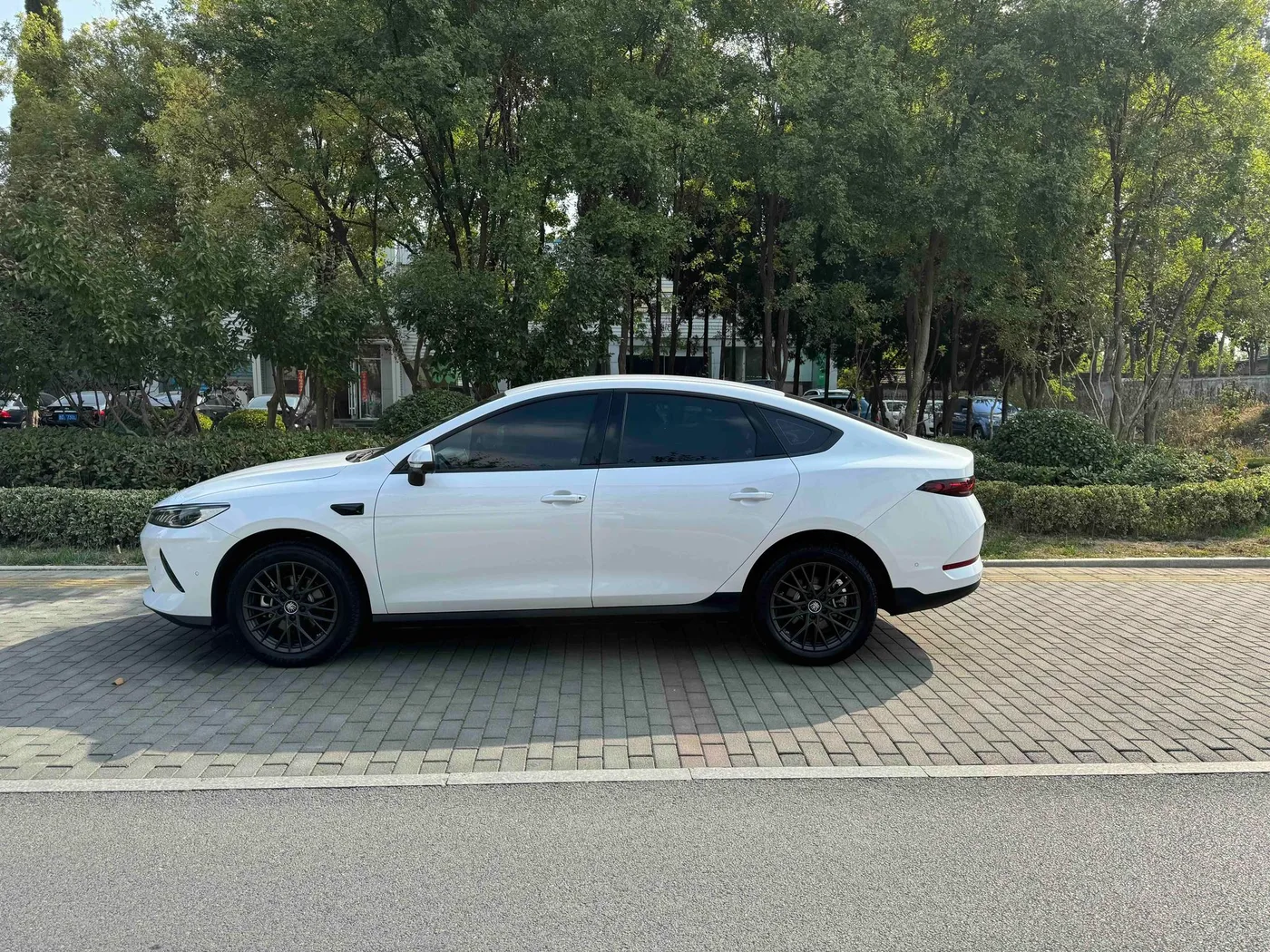 BYD Qin PLUS EV, 2025 — фото 4