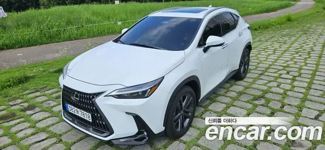 Lexus Nx NX350H, 2026 — фото 2