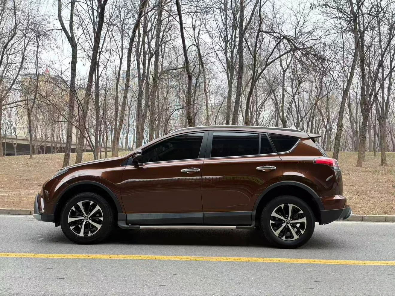 Toyota RAV4 Rongfang, 2016 — фото 3
