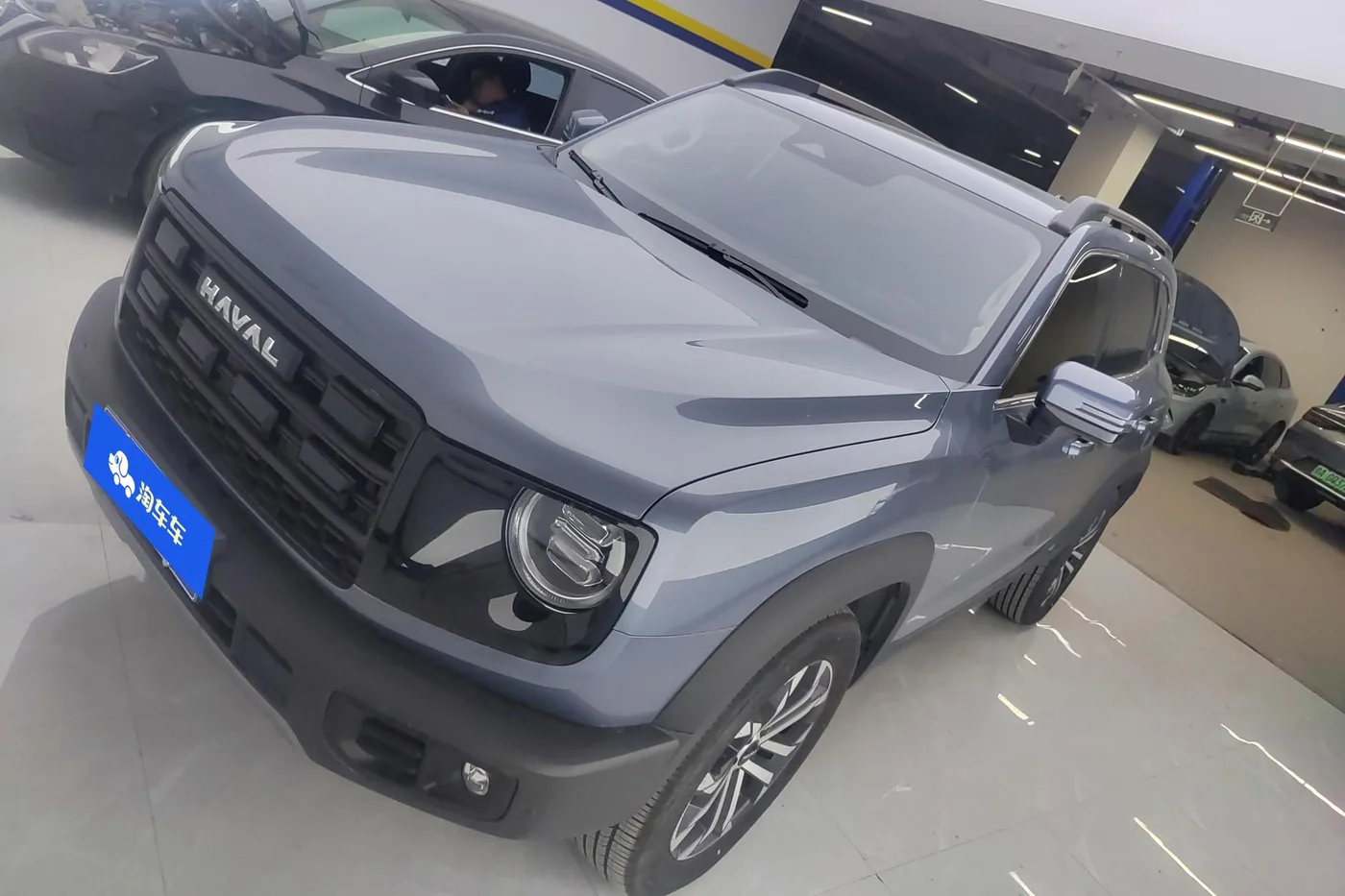 Haval Great Wall Dog