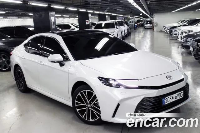 Toyota Camry xv80