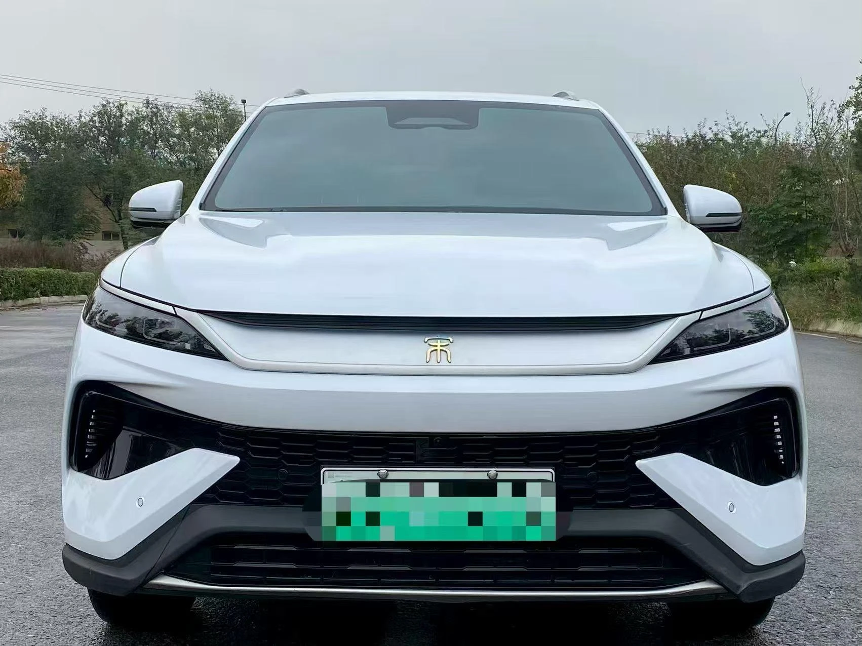 BYD Song Pro DM, 2025 — фото 2