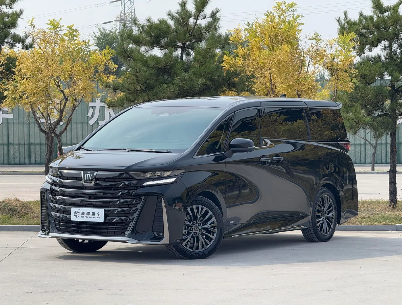 Toyota Elfa