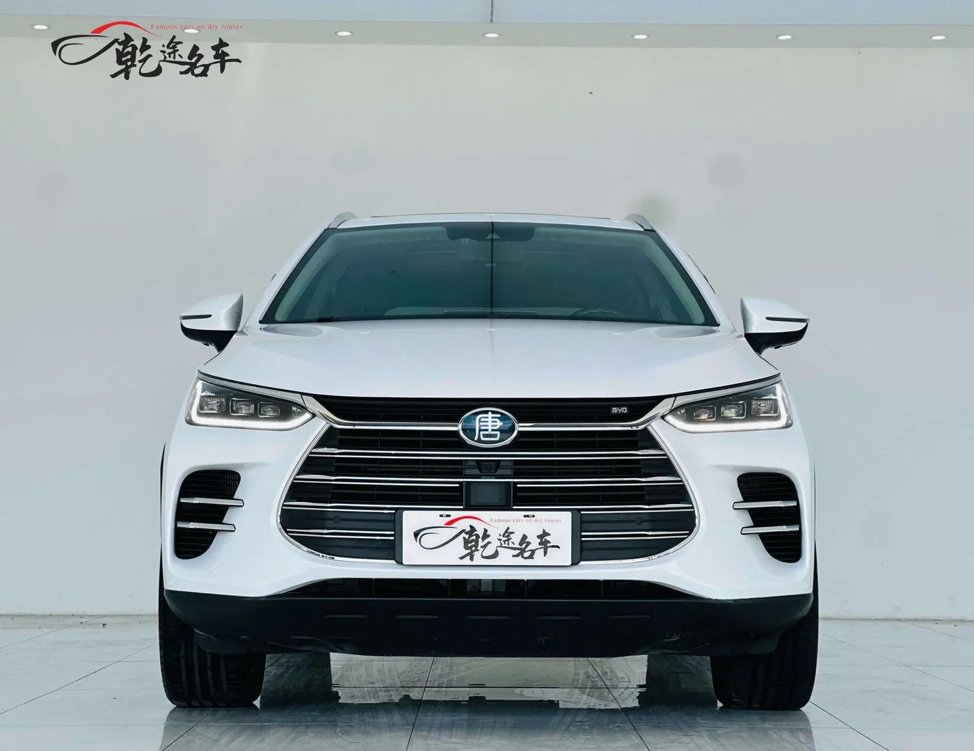 BYD Tang DM, 2018 — фото 3