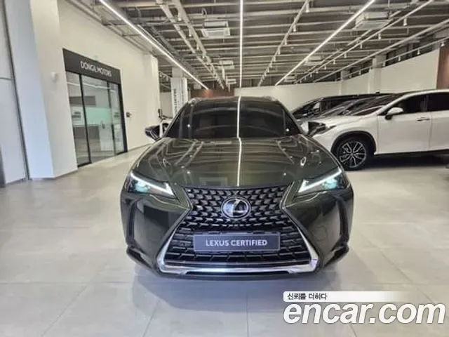Lexus Ux UX300h, 2025 — фото 3