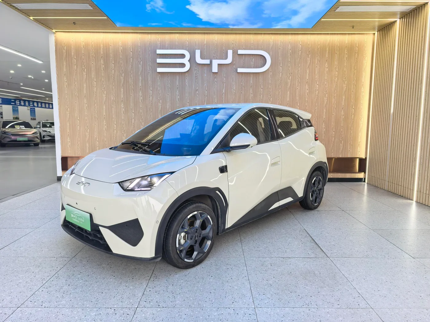 BYD seagull