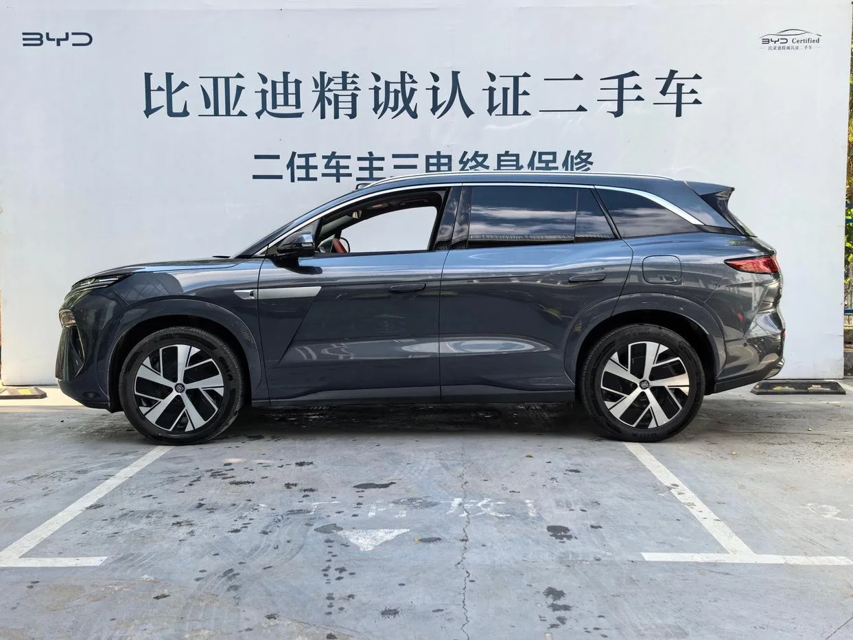 BYD Tang L DM, 2025 — фото 3