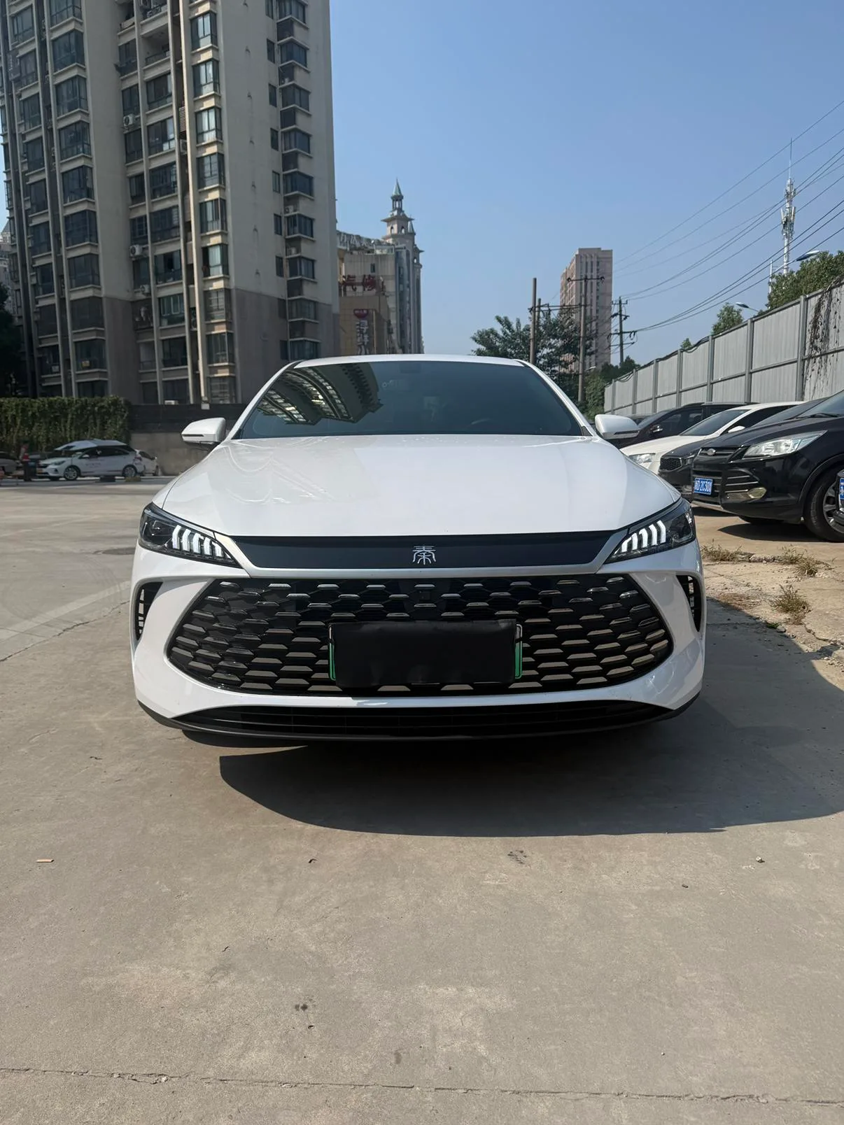BYD Qin PLUS DM, 2026 — фото 2