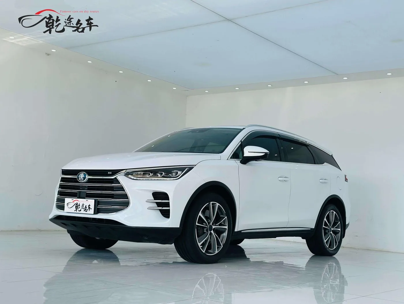 BYD Tang DM