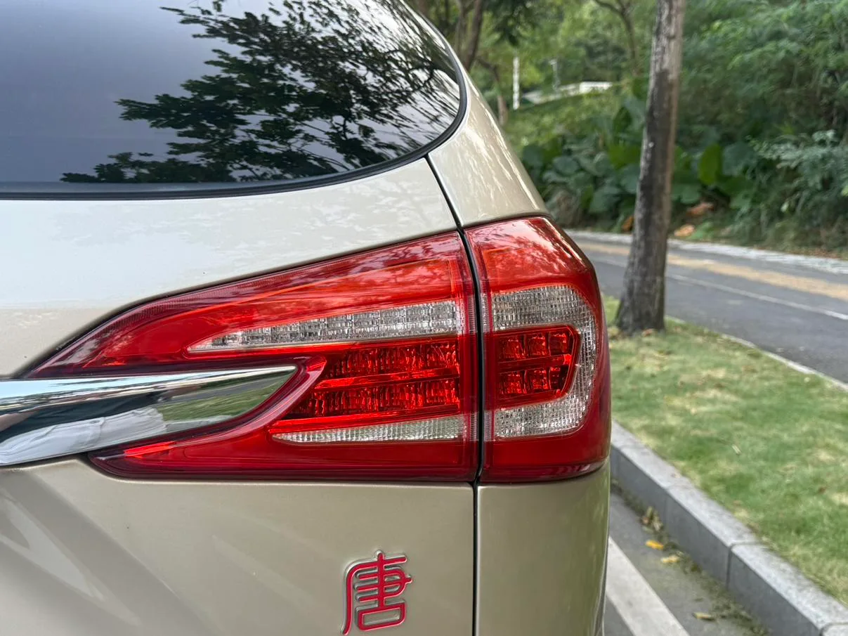 BYD Tang DM, 2015 — фото 12