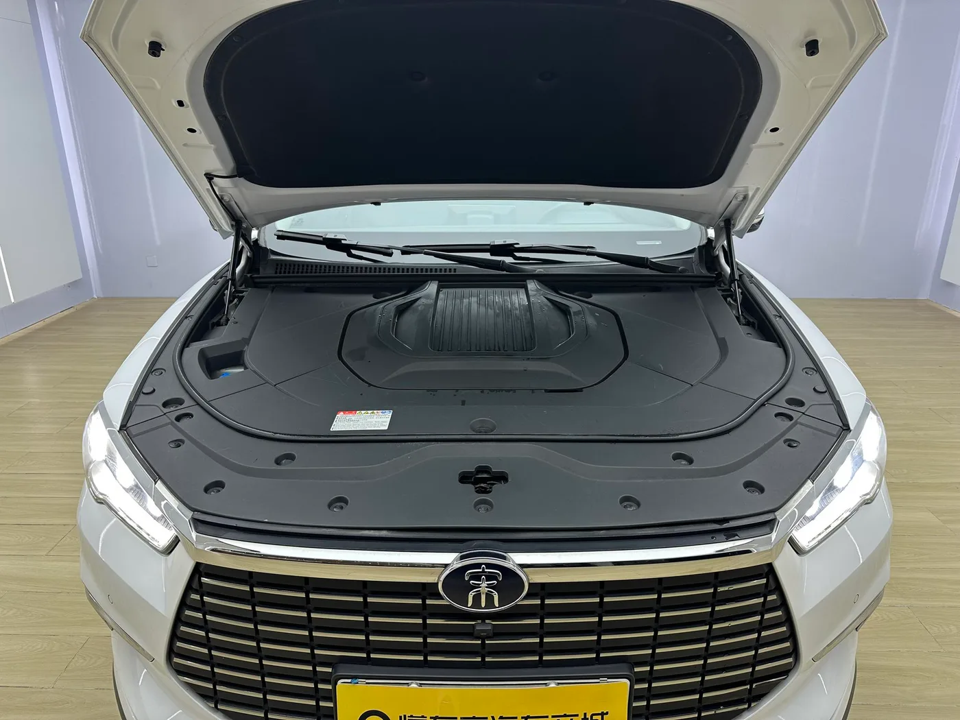 BYD Song Pro EV, 2019 — фото 17
