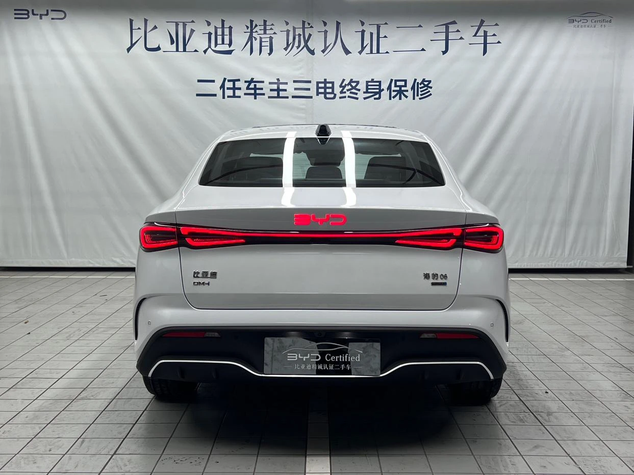 BYD Seal 06DM, 2025 — фото 4