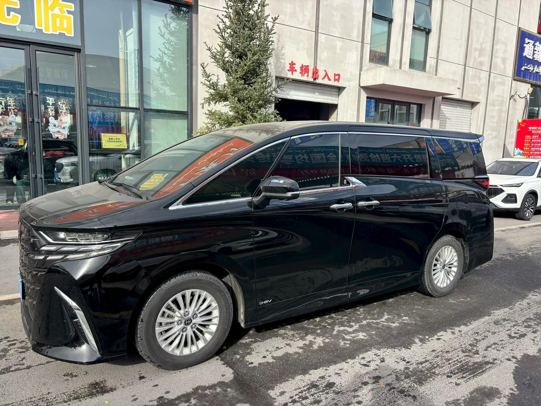 Toyota Elfa