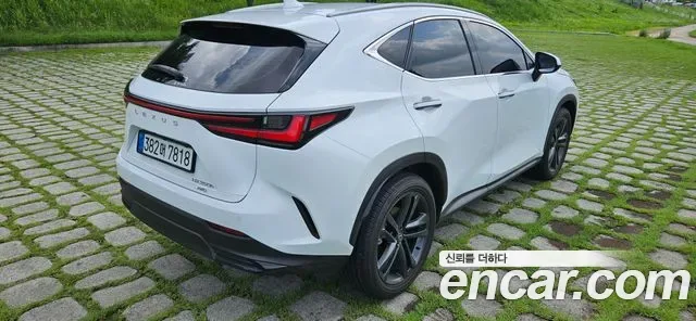 Lexus Nx NX350H, 2026 — фото 6