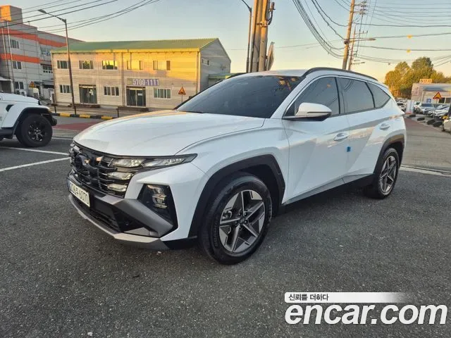 Hyundai Tucson NX4, 2024 — фото 2