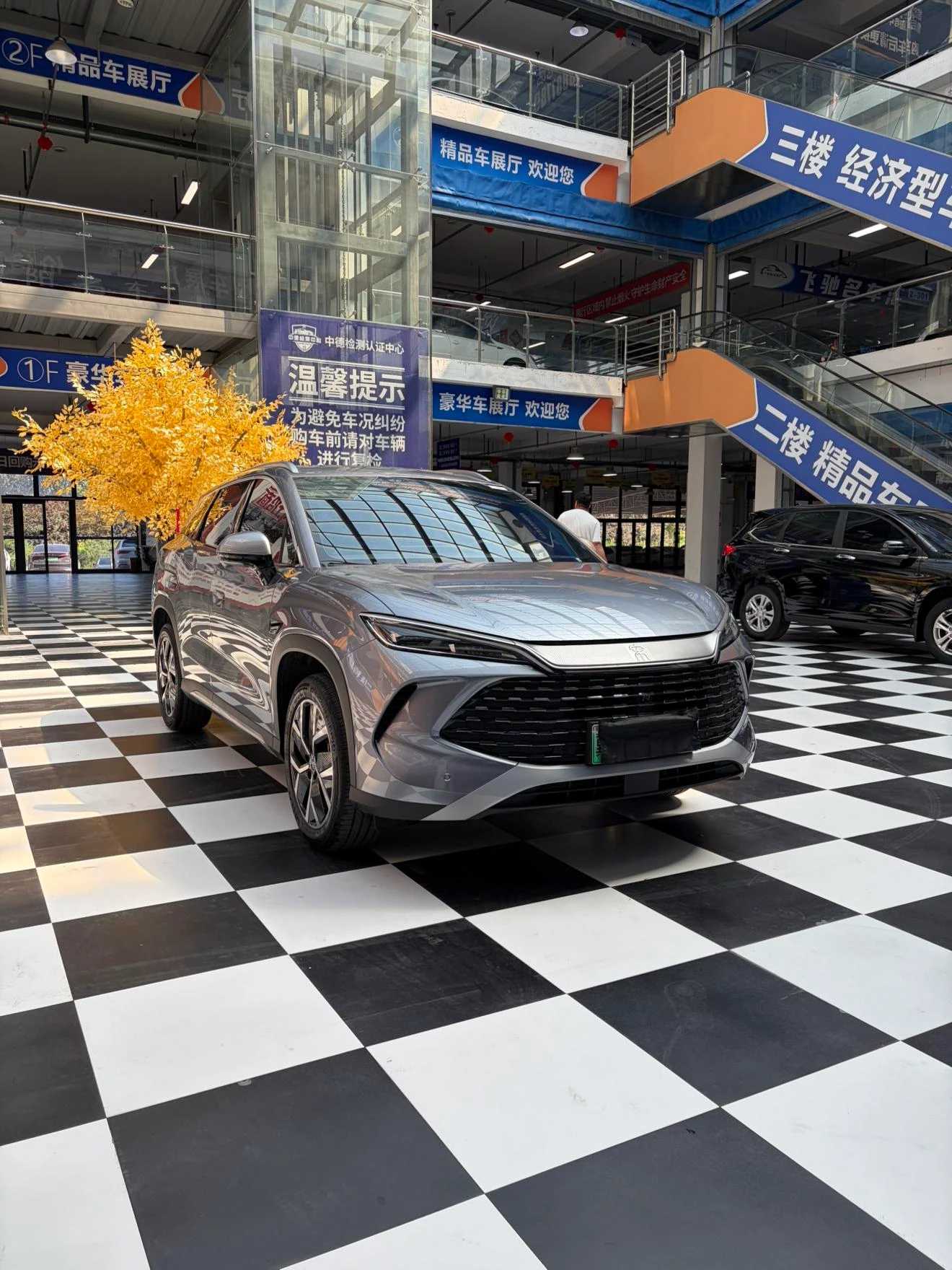 BYD Song L DM, 2026 — фото 3
