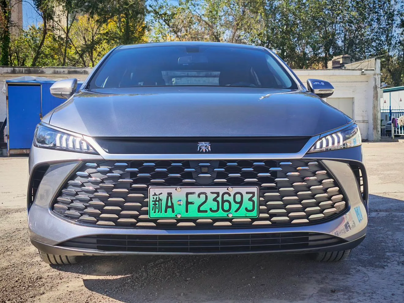 BYD Qin PLUS DM, 2026 — фото 2