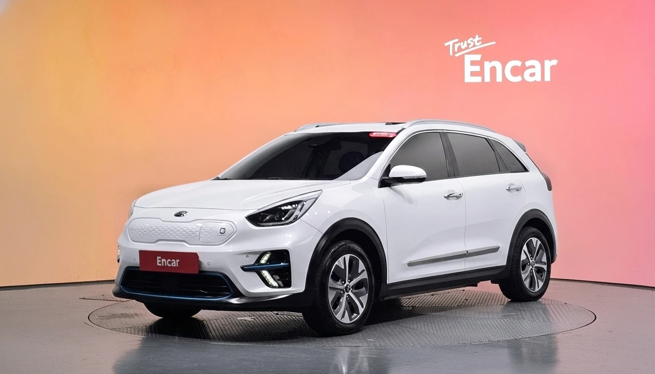 Kia Niro EV, 2020 — фото 21