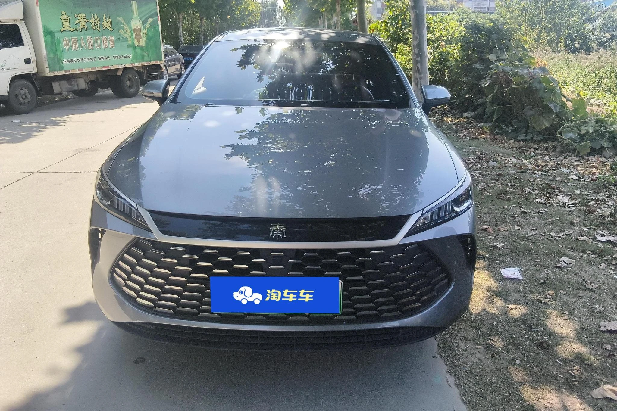 BYD Qin PLUS DM, 2026 — фото 3
