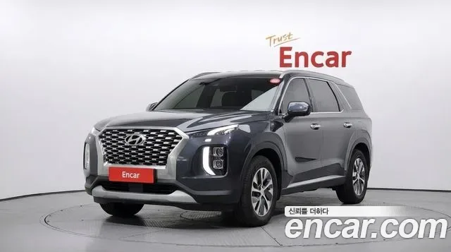 Hyundai Palisade, 2019 — фото 3