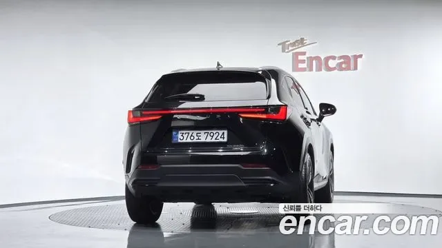 Lexus Nx NX350H, 2025 — фото 4