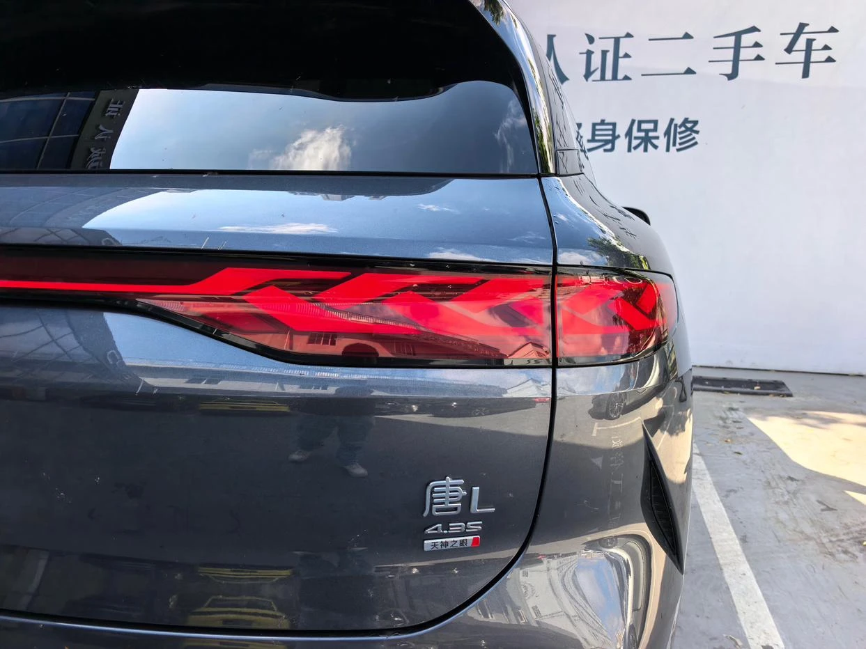 BYD Tang L DM, 2025 — фото 18