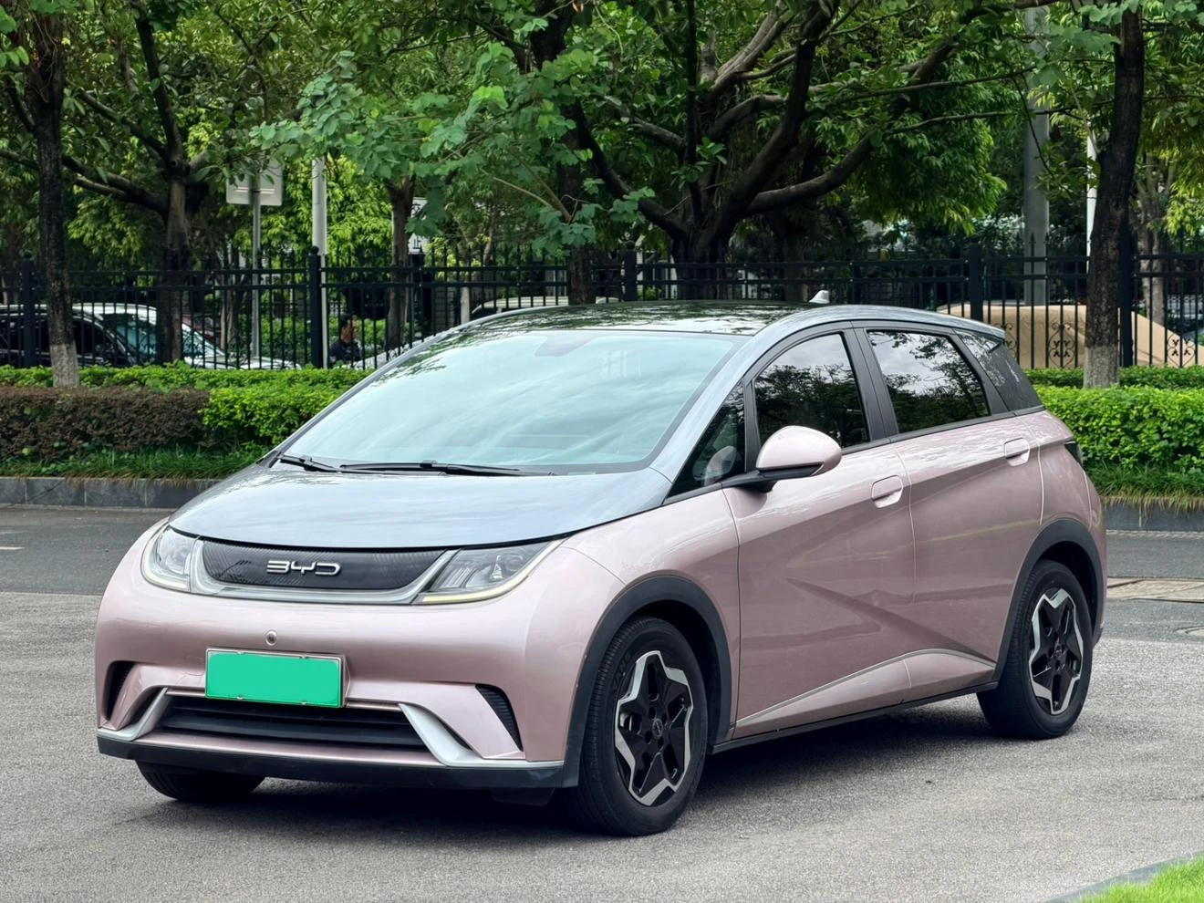 BYD dolphin
